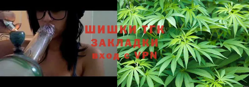 магазин продажи наркотиков  Петровск  Шишки марихуана White Widow 